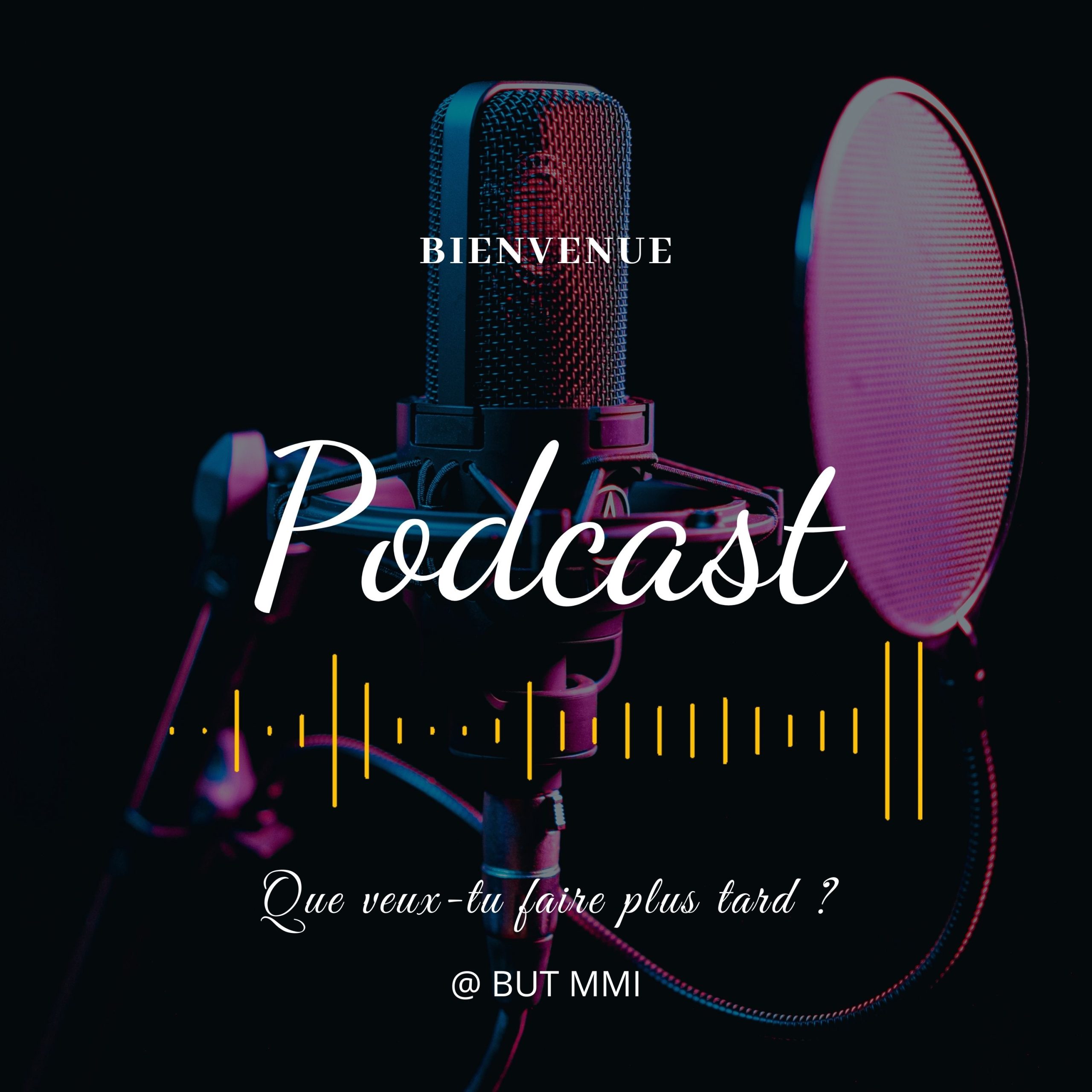 Podcast BUT MMI